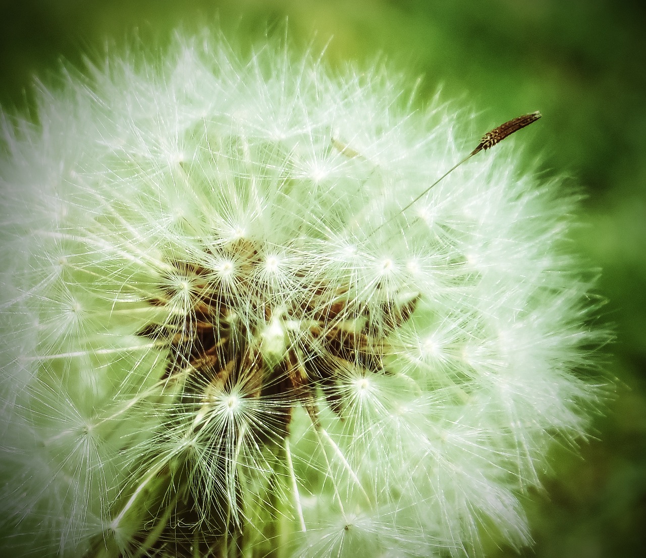 Weed control starts in the fall!