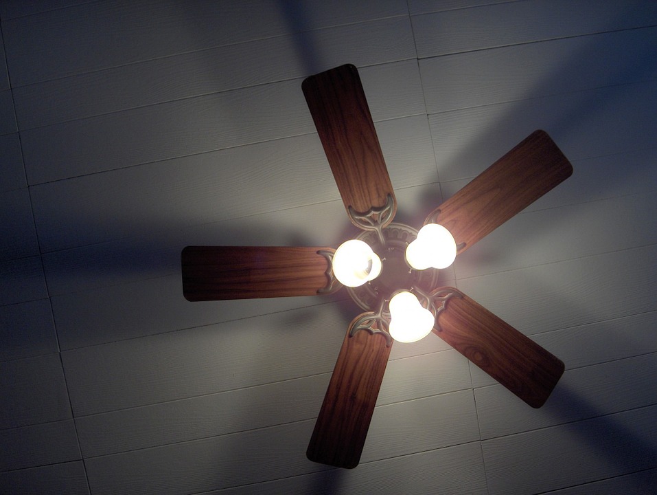 Reverse the direction of your ceiling fan