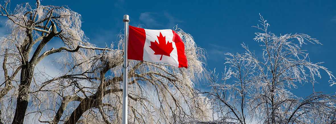 We live in Canada, our furnaces are a necessary part of our homes.