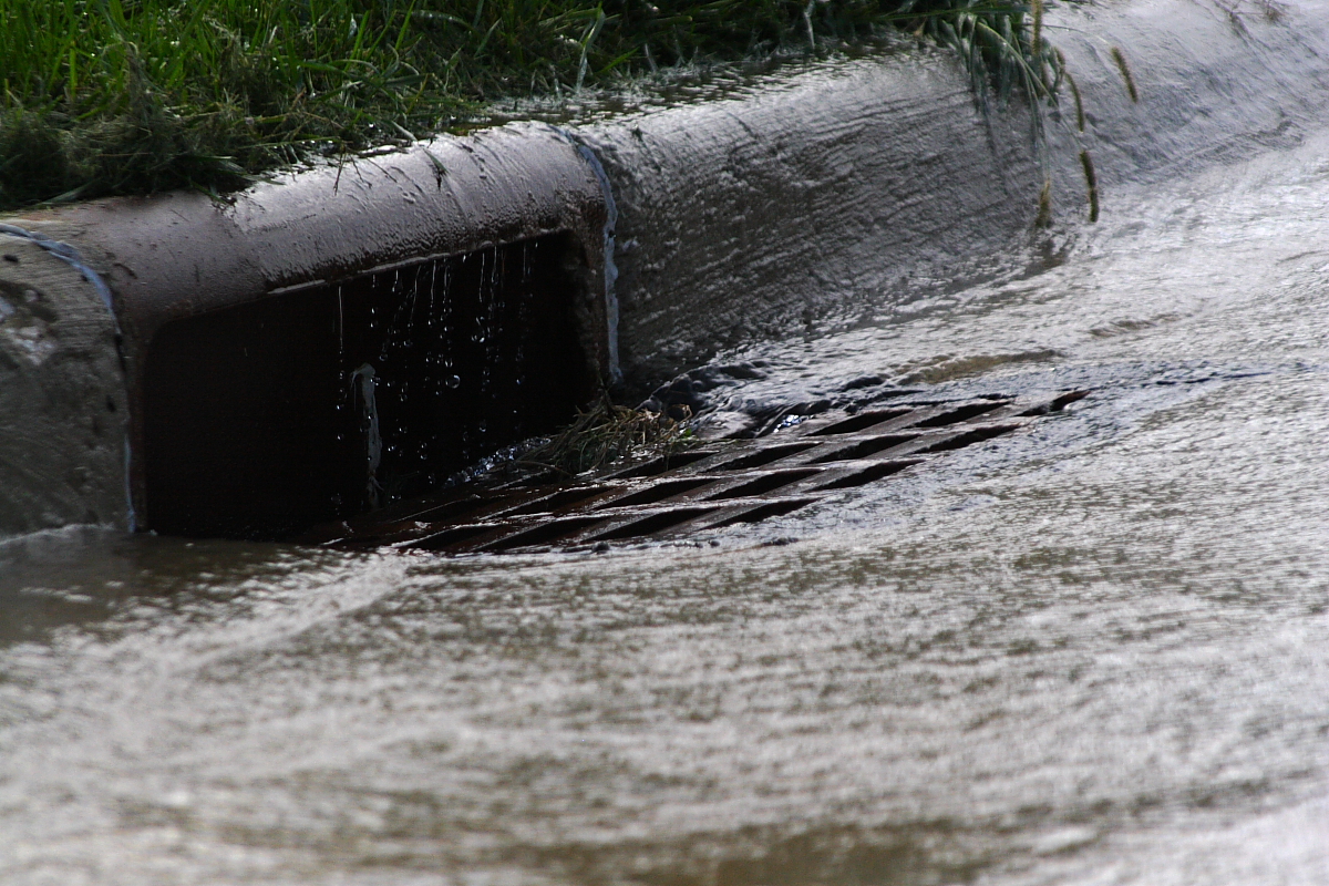 Regularly check your nearest storm drain to make sure it's clear of debris