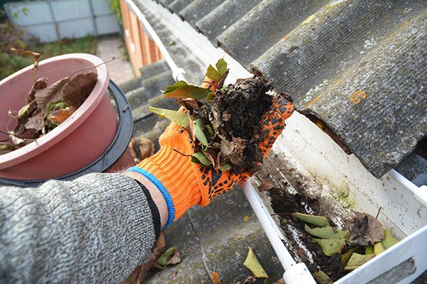 Toronto Home Maintenance