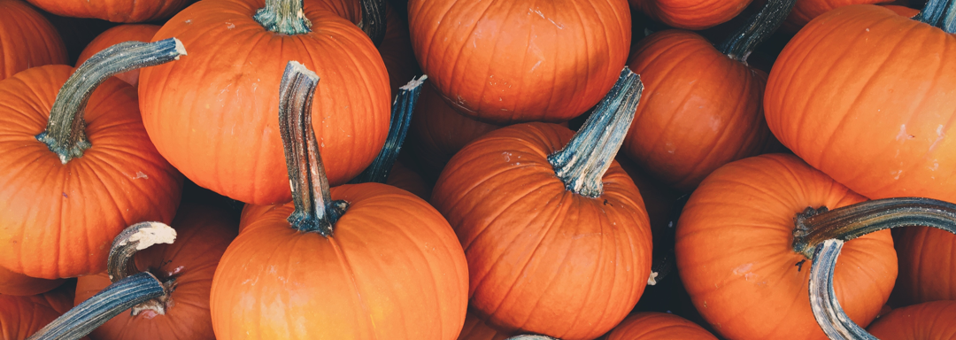 Halloween pumpkins in a Jiffy