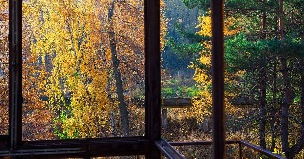 Fall Home Maintenance & Improvement For The Home's Interior